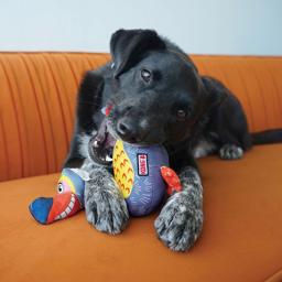 KONG Ballistic Vibez Birds Gosedjur För Hunden